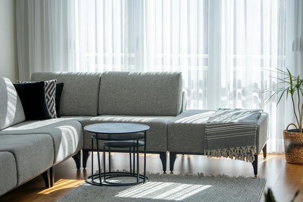 Le substrat durable et écologique : la fibre de coco en vedette