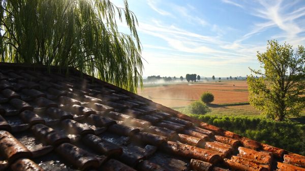 5 solutions de traitement de toiture contre l'humidité en Indre